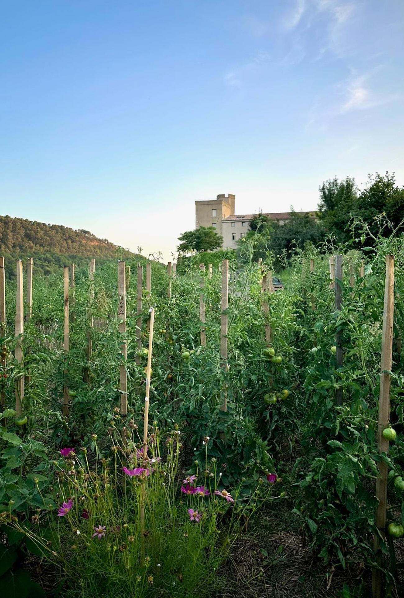 Domaine La Ferme Hi Bride Villelaure Exterior foto
